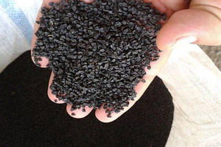 Чорнушка, чорний кмин насіння, чорний кмин (Індія), 25 кг - TR, фото 4