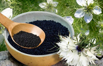 Чорнушка, чорний кмин насіння, чорний кмин (Індія), 25 кг - TR, фото 3