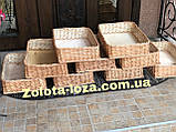 Лотки плетені з лози. Н-10см. 35х45см. Арт:3229, фото 3