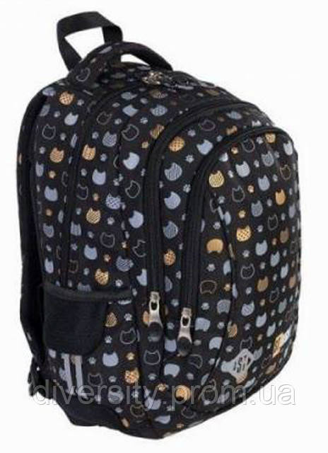 Подростковый школьный рюкзак BP-26 "GOLDEN CATS" ST.RIGHT 638183