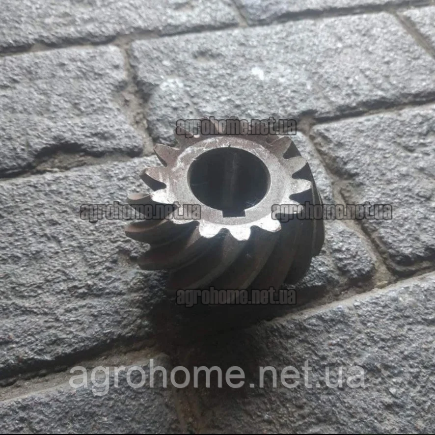 Шестерня мала коса однорядної картоплекопачки Wirax/Bomet, фото 1