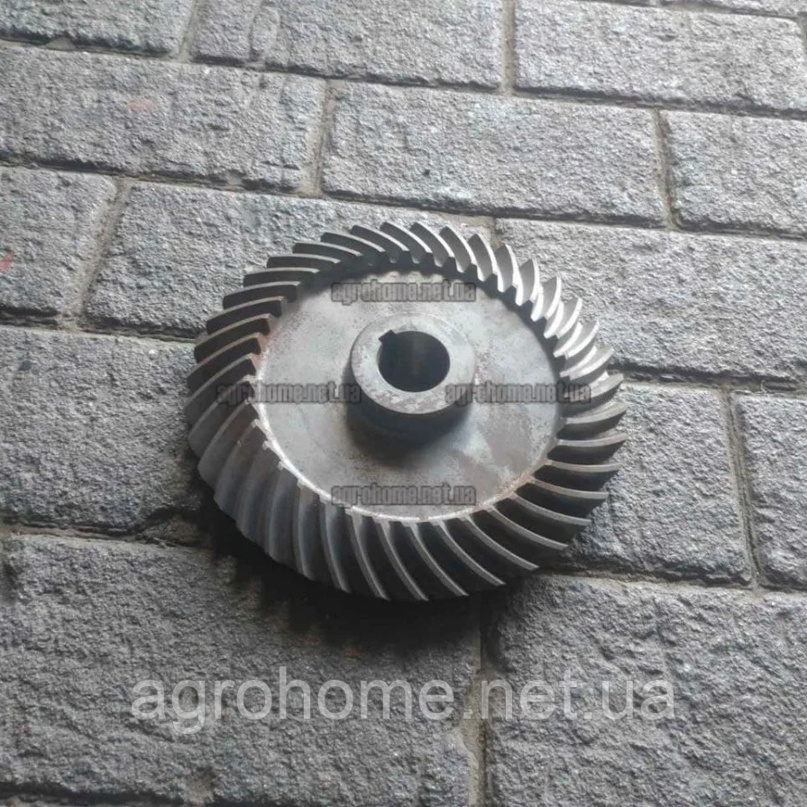 Шестерня велика коса однорядної картоплекопачки Wirax/Bomet, фото 1