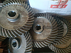 Шестерня велика коса однорядної картоплекопачки Wirax/Bomet, фото 2