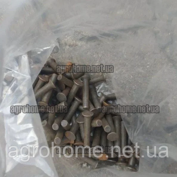 Заклепки транспортера двохрядної картоплекопачки Z-609, фото 1