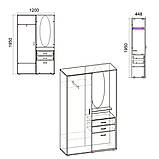 Передпокій Компаніт Аліса Вільха, фото 2