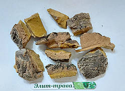 Оксамит амурьський кора 100 грам