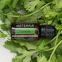 Кинза / Cilantro - Эфирное масло dōTERRA, 15 мл