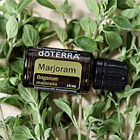 Майоран / Marjoram - Эфирное масло doTERRA, 15 мл