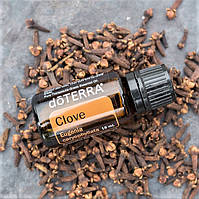 Гвоздика / Clove - Эфирное масло doTERRA, 15 мл