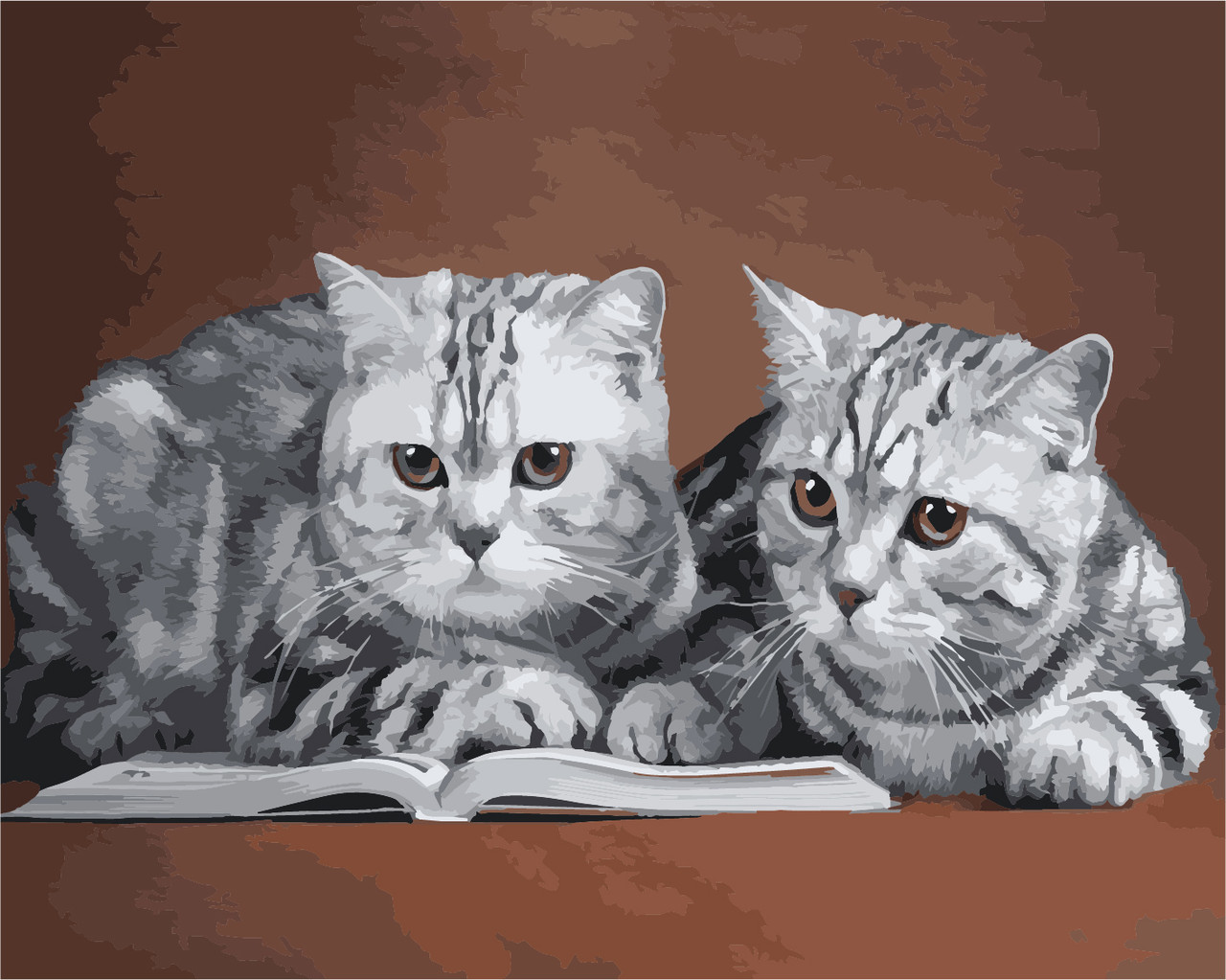 Картина за номерами ArtStory Сірі коти 40*50см