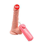 Файлоімітатор, що коливається 19,5*16*3,5см, фото 2