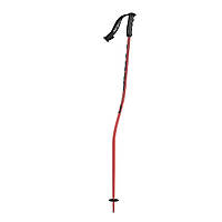 Палки лыжные Scott Team Issue GS Junior Ski Poles