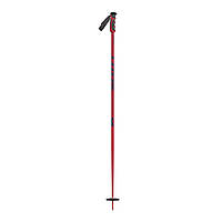 Палки горнолыжные Scott Team Issue Ski Poles