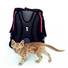 Рюкзак ортопедичний Leader Рожевий 38х28х16см  арт. 982029, фото 3