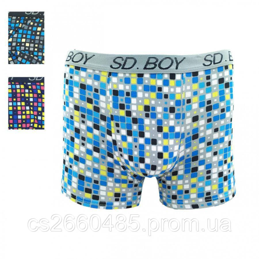 Дитячі підліткові боксери SD. BOY труси для хлопчиків 6-8 років,Компьютерка,,