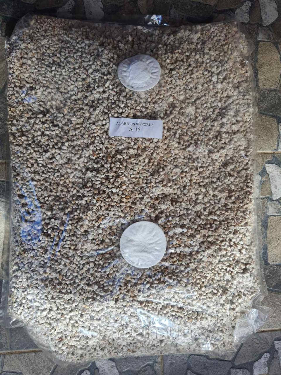Печериця міцелій Упаковка 7.5 кг з фільтром А 15, фото 1