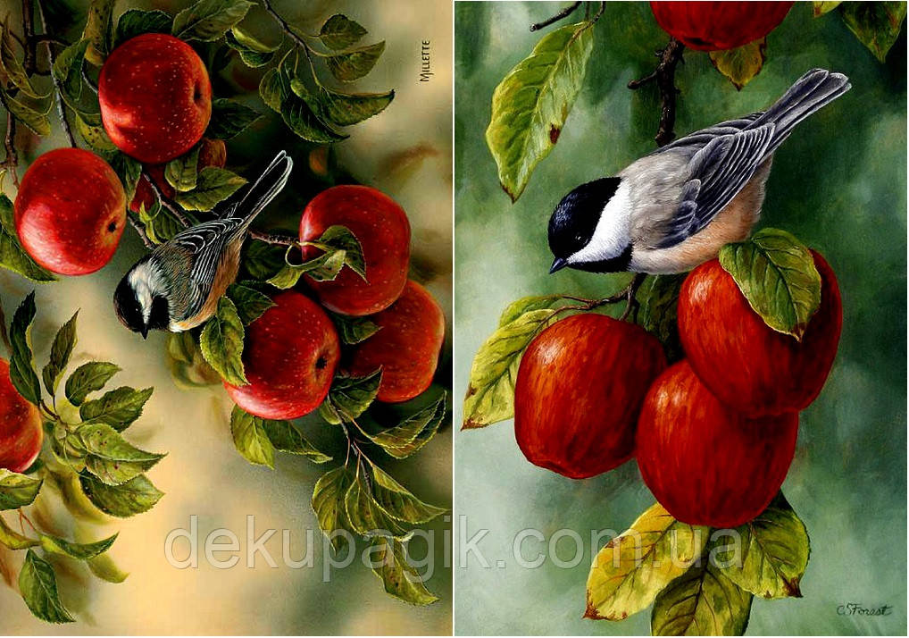 Декупажна карта DC BIRD- 021