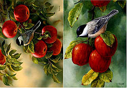 Декупажна карта DC BIRD- 021