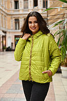 Женская куртка демисезонная стеганая плащёвка размеры 46-48, 50-52, 54-56, 58-60, 62-64 (расцветки)