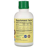 ChildLife Essentials, Рідкий кальцій з магнієм, натуральний смак апельсина, 474 мл (16 рідк. унцій), фото 2