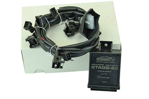 Шрек порно мультфильм онлайн