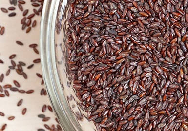 Подорожник блошиний насіння, насіння подорожника (Plantago afra), 25 кг -TR