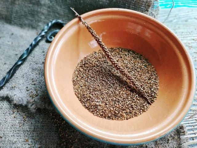 Подорожник блошиний насіння, насіння подорожника (Plantago afra), 5 кг -TR