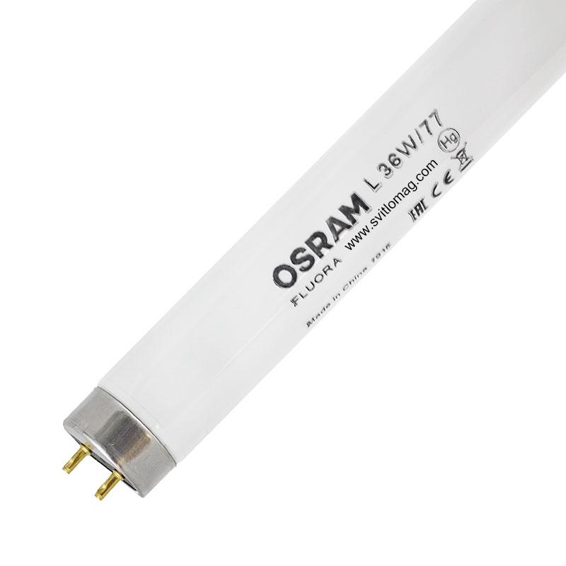 Люмінесцентна лампа для рослин і водоростей L 36w/77 OSRAM FLUORA G13, фото 1