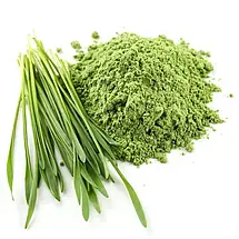 Ячмінь зелений, молодий ячмінь мелений, зелений ячмінь порошок, 5 кг - TR, фото 4