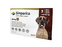 Сімпаріка (Simparica) жувальні таблетки від бліх і кліщів для собак 40-60 кг, ( ціна за табл.) 3 таб х 120 мг