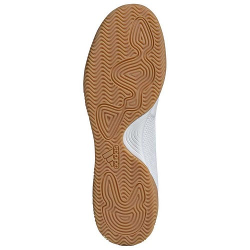 Bc0559 shop