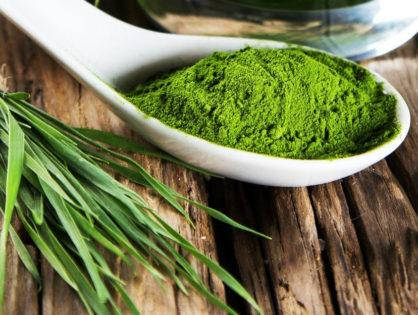 Спіруліна, таблетки спіруліни (250 мг), спіруліна в таблетках, 25 кг - TR, фото 2