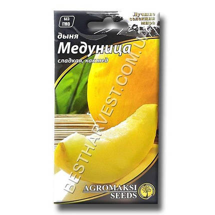 Насіння дині «Медуниця» 2 г (Агромаксі), фото 1