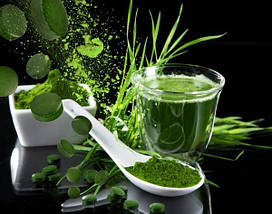 Спіруліна, таблетки спіруліни (250 мг), спіруліна в таблетках, 25 кг - TR, фото 4