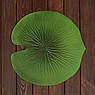 Набір з 2-х підставок у формі плаваючих листя Лотоса, фото 2