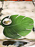 Підставки у формі зелених листів Філодендрона, 6 шт., фото 6