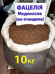 Насіння Фацелія (не очищене), медонос, сидерат, мішок 10 кг