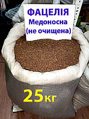Насіння Фацелія (не очищене), медонос, сидерат, мішок 25 кг