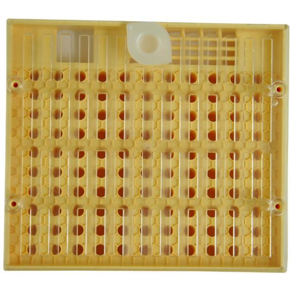 Рамка для виведення маток - НІКОТ