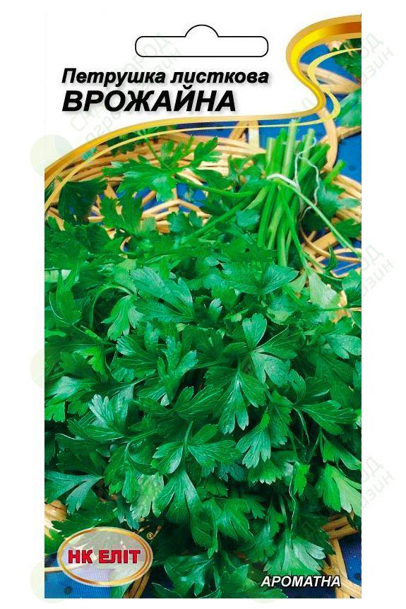 Петрушка Листкова Врожайна 3 г."НК ЕЛІТ"