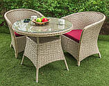 Меблі з ротангу "Атлант", фото 4