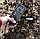 РН-метр Voltcraft PH-212 (0...14 pH) з гострим електродом (Німеччина), фото 5