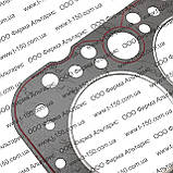 Прокладка ГБЦ ЮМЗ-6/Д-65, безасбестова з герметиком, Д65-02С12, фото 3