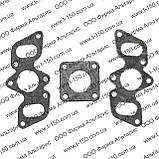 Набір прокладок двигуна ЮМЗ-6 Д-65 повний з ГТВ Преміум, фото 6