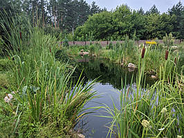 Изготовление пруда для осетра (подводная съёмка на видео) 1