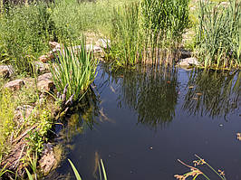 Изготовление пруда для осетра (подводная съёмка на видео) 4