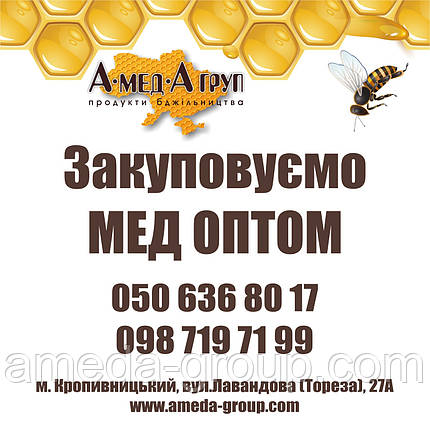 Закупівля меду оптом Кіровоградська, Черкаська області, фото 2