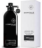 Парфумована вода Montale Greyland унісекс 100ml Тестер, Франція, фото 2