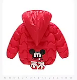 Демі куртка для малюків розмір 92, фото 2