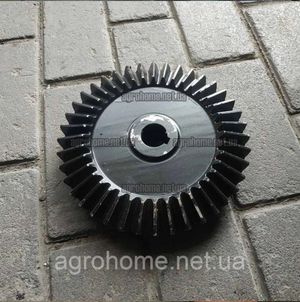 Шестерня велика пряма однорядної картоплекопачки Wirax/Bomet, фото 1